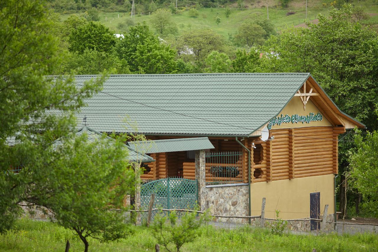 Chudodievo In Chynadievo Mini-Hotel Chynadiyovo Luaran gambar